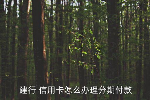 建行信用卡消费如何申请分期