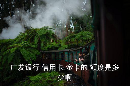 广发银行 信用卡 金卡的 额度是多少啊