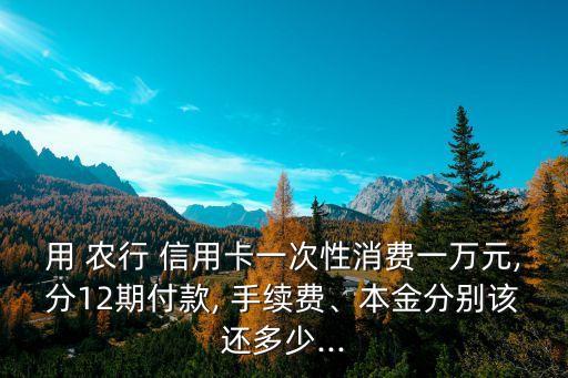 用 农行 信用卡一次性消费一万元,分12期付款, 手续费、本金分别该还多少...