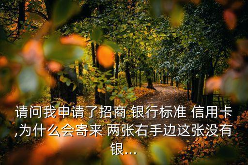请问我申请了招商 银行标准 信用卡,为什么会寄来 两张右手边这张没有银...