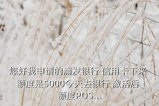 信用卡额度激活后会变吗