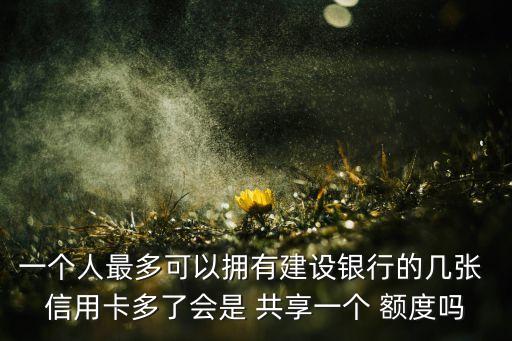 一个人最多可以拥有建设银行的几张 信用卡多了会是 共享一个 额度吗