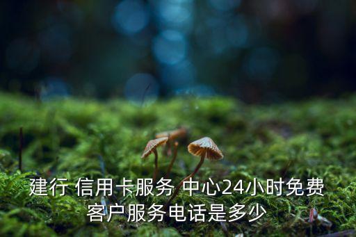 建行 信用卡服务 中心24小时免费客户服务电话是多少