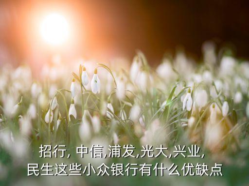 招行, 中信,浦发,光大,兴业, 民生这些小众银行有什么优缺点