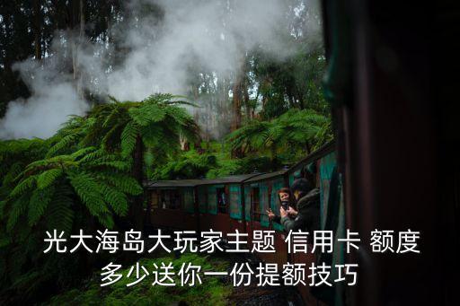 光大信用卡钛金卡最低额度,光大阳光信用卡金卡年费是多少