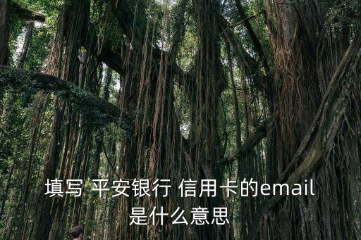 填写 平安银行 信用卡的email是什么意思