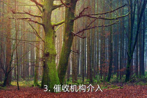 信用卡用了可以不还，信用卡一直不还会有什么后果？