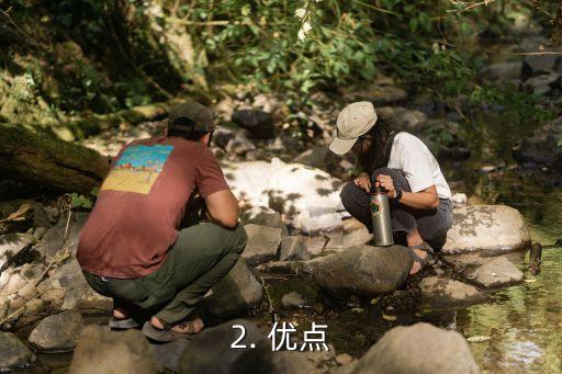 办理非银行信用卡，非银行信用卡重写新标题：独具特色的信用支付方式