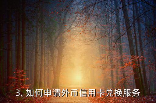 兑换外币信用卡，外币信用卡兑换服务