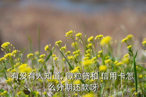 有没有人知道, 微粒贷和 信用卡怎么分期还款呀