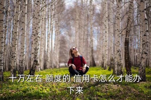 十万左右 额度的 信用卡怎么才能办下来
