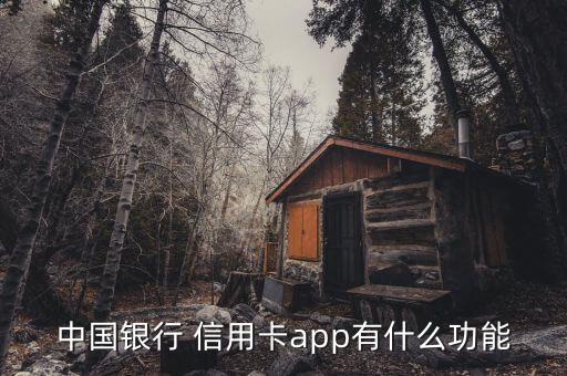 中国银行 信用卡app有什么功能
