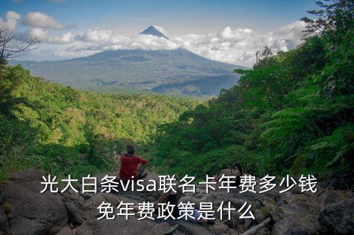  光大白条visa联名卡年费多少钱免年费政策是什么