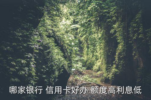 哪种信用卡实惠额度高,信用卡额度和卡种有关吗