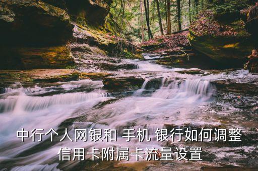 手机银行信用卡副卡,银行信用卡副卡是谁名下的