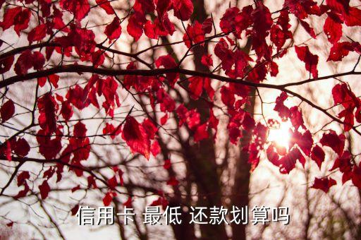  信用卡 最低 还款划算吗