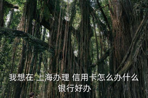 上海哪个银行信用卡好申,上海是哪个银行信用卡