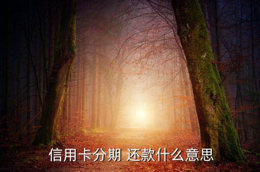  信用卡分期 还款什么意思