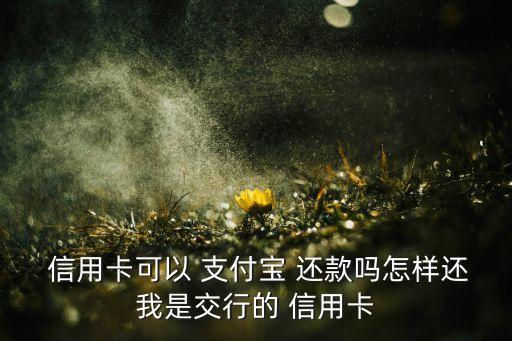 信用卡能给支付宝码还款吗,支付宝信用卡还款免费额度是什么意思