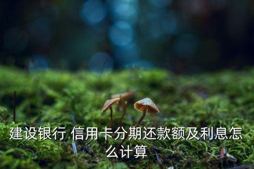 建设银行 信用卡分期还款额及利息怎么计算