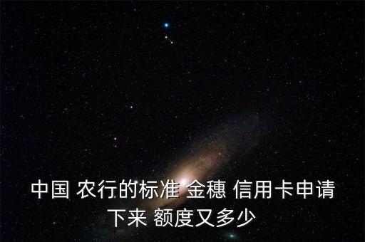 中国 农行的标准 金穗 信用卡申请下来 额度又多少