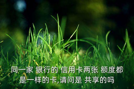 齐商银行信用卡额度共享吗,同一银行信用卡额度共享还办它干啥