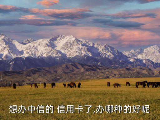 想办中信的 信用卡了,办哪种的好呢