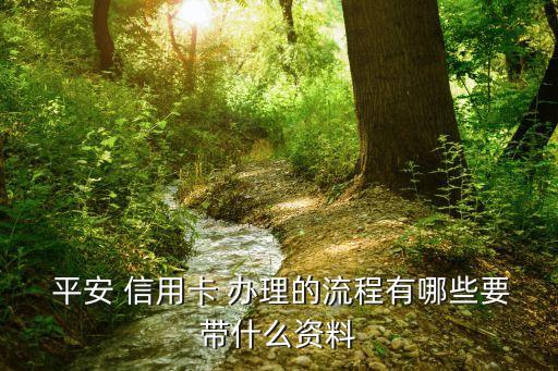 平安 信用卡 办理的流程有哪些要带什么资料