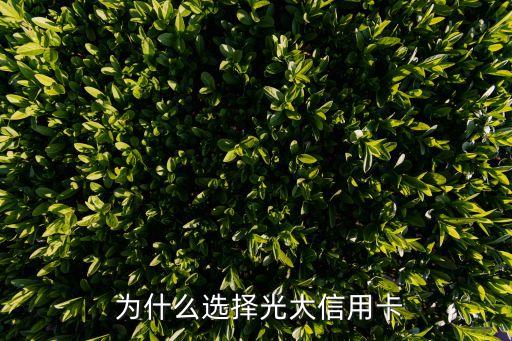 为什么选择光大信用卡