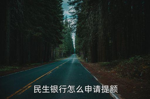  民生银行怎么申请提额