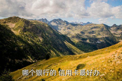 哪个银行的 信用卡最好办
