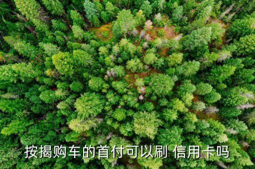 按揭购车的首付可以刷 信用卡吗