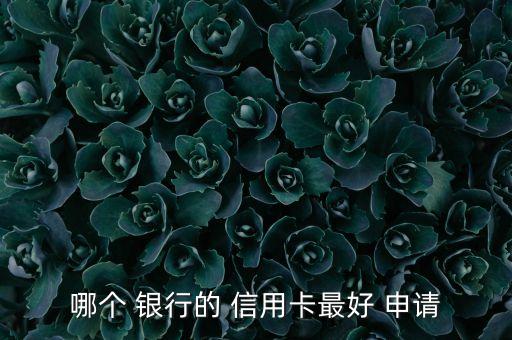 四大银行的信用卡难申请吗,有四大银行信用卡申请别的信用卡
