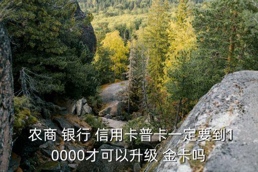 农商银行信用卡金卡申请,深圳农商银行信用卡好申请吗