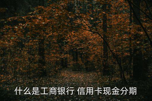 工行信用卡能分期多少期
