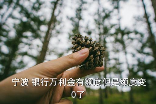  宁波 银行万利金有额度但是额度变0了