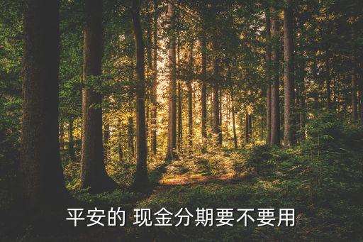 平安的 现金分期要不要用