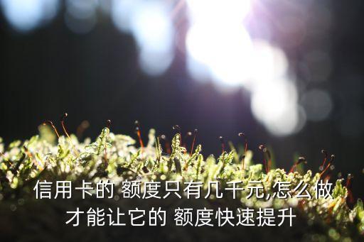  信用卡的 额度只有几千元,怎么做才能让它的 额度快速提升