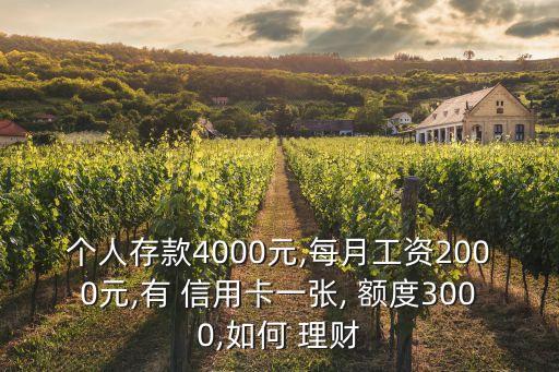 个人存款4000元,每月工资2000元,有 信用卡一张, 额度3000,如何 理财