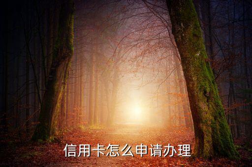  信用卡怎么申请办理