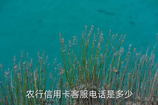 农行信用卡客服电话是多少
