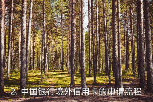 中国银行境外信用卡，中国银行国际信用卡