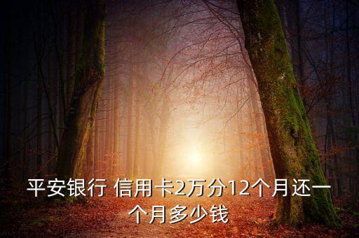 平安银行 信用卡2万分12个月还一个月多少钱
