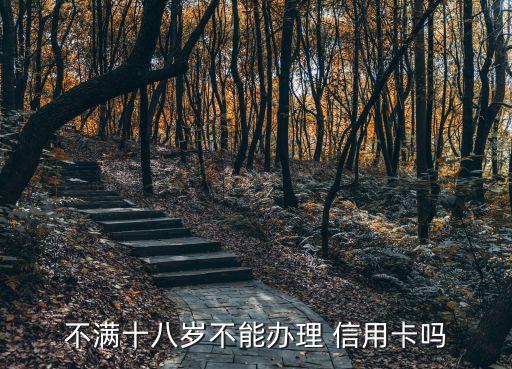 不满十八岁不能办理 信用卡吗