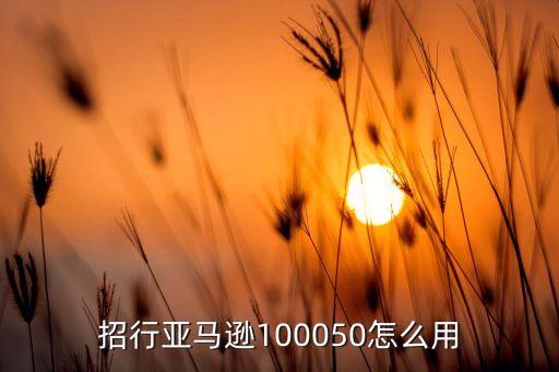 招行亚马逊100050怎么用
