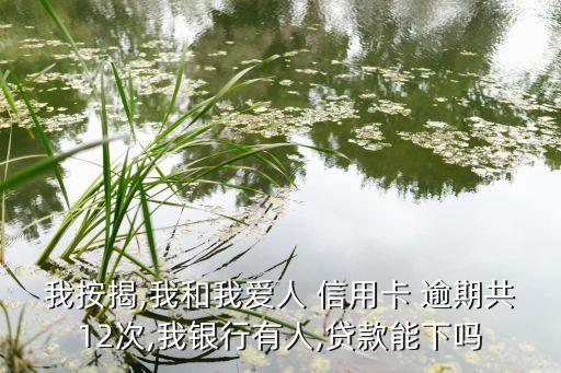 我按揭,我和我爱人 信用卡 逾期共12次,我银行有人,贷款能下吗