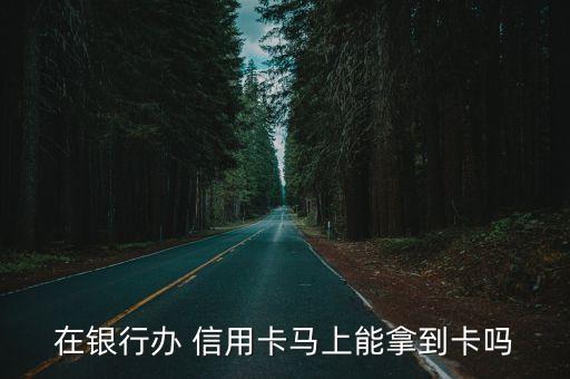 在银行办 信用卡马上能拿到卡吗