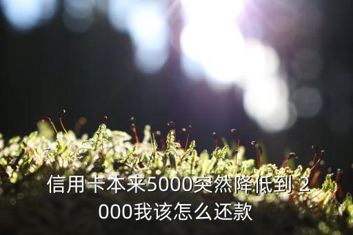  信用卡本来5000突然降低到 2000我该怎么还款