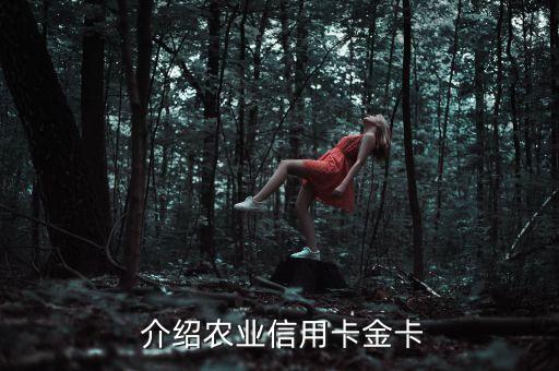 介绍农业信用卡金卡