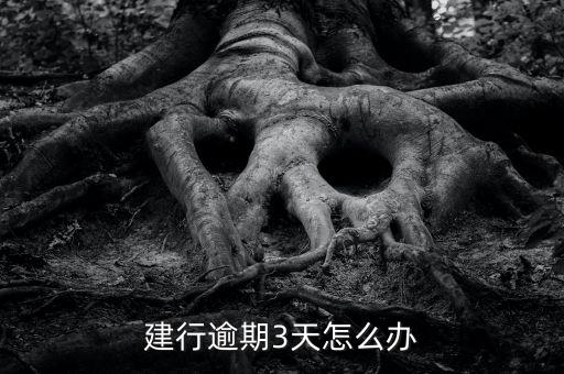 建行逾期3天怎么办